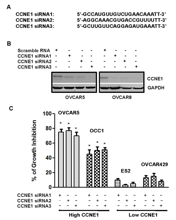 fig3