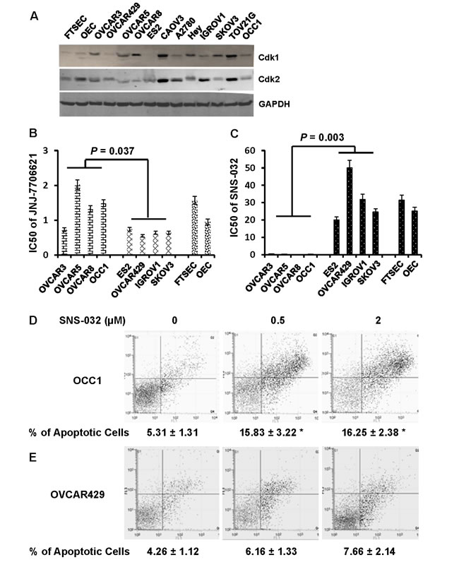 fig4
