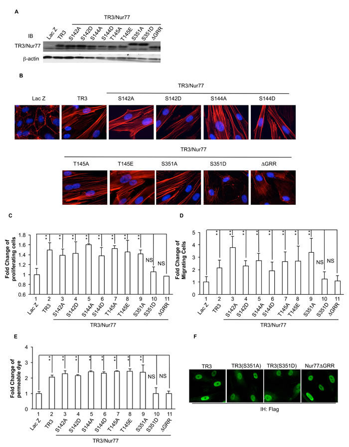 fig3