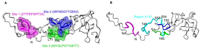 fig6