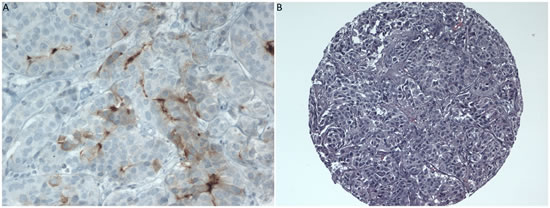 fig2