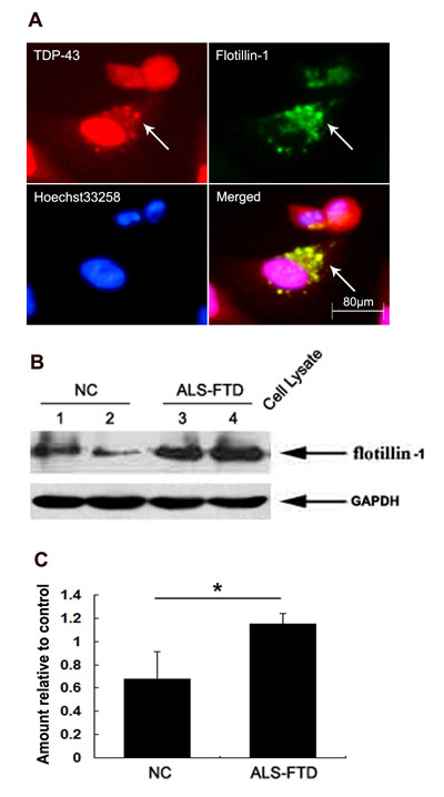 fig3