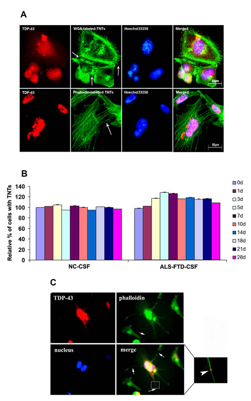 fig4
