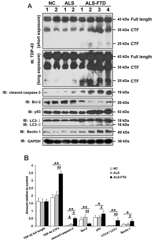 fig5
