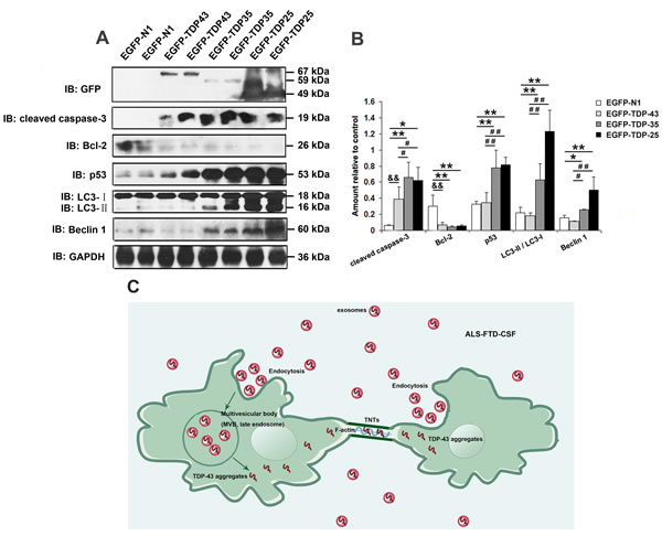 fig6