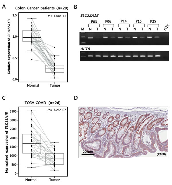 fig1