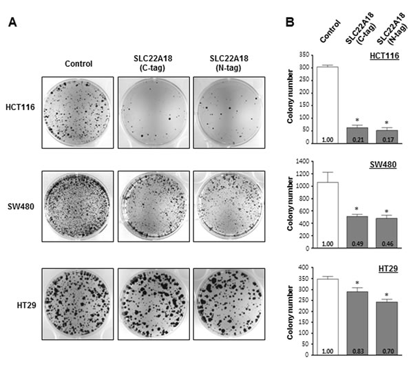 fig2