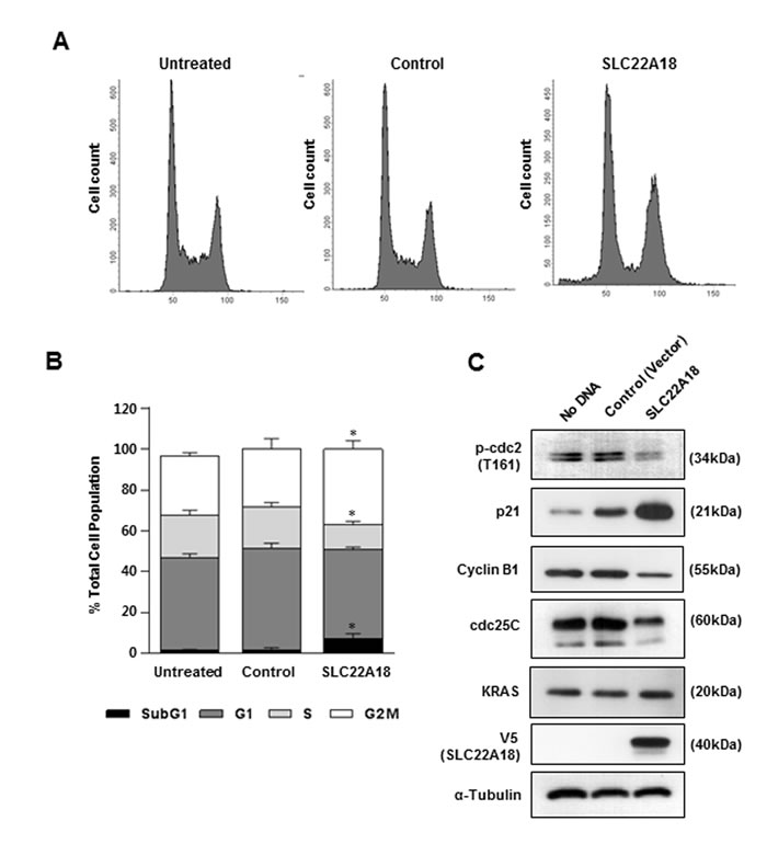 fig3
