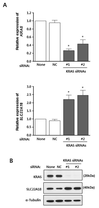 fig4