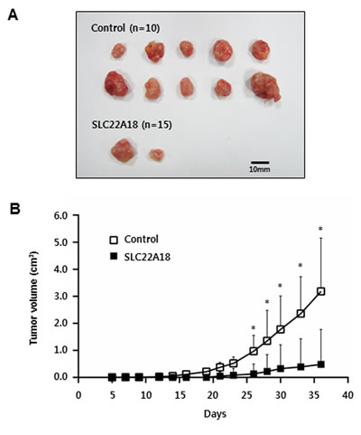 fig6