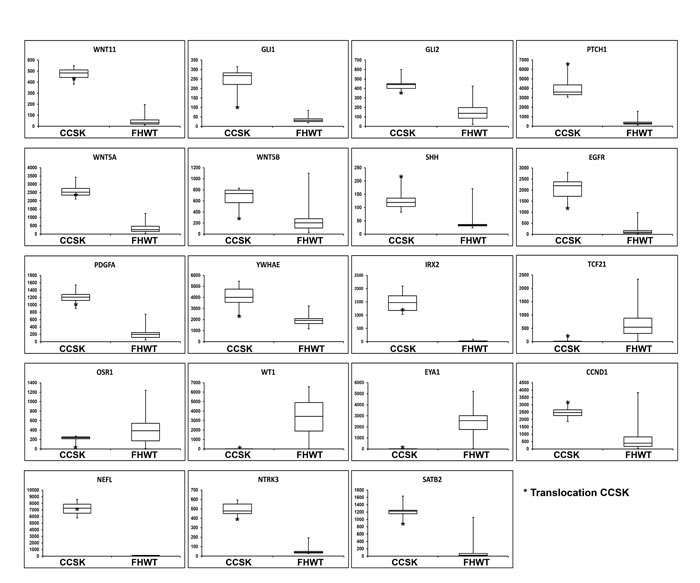 fig2