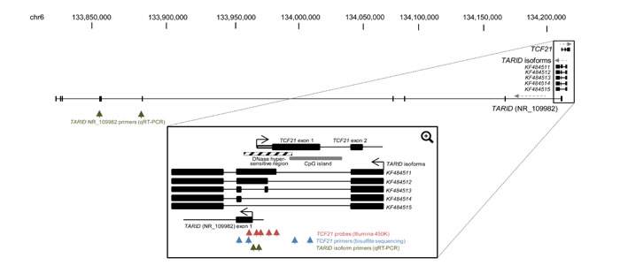 fig4