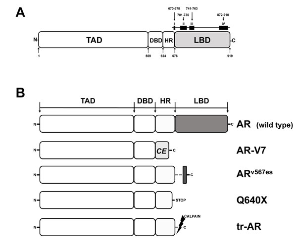 fig1