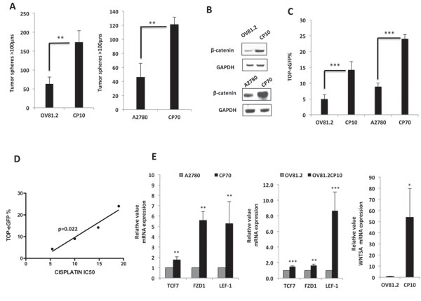 fig3