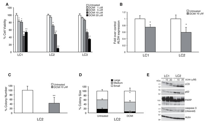 fig2