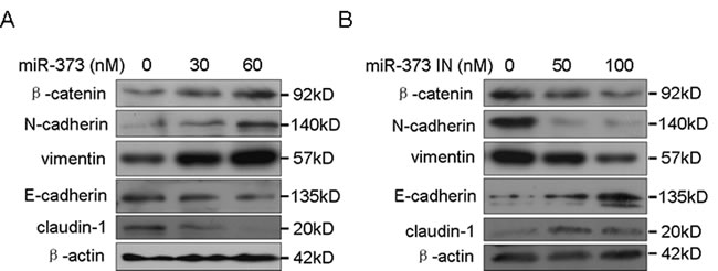 fig1
