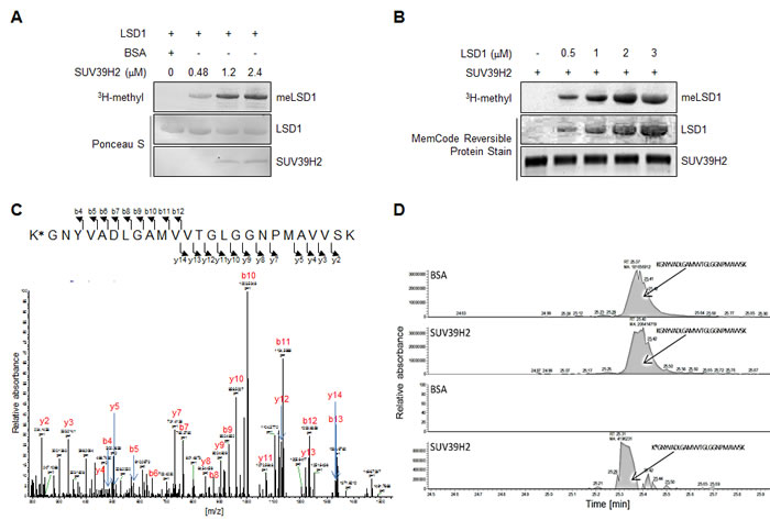 fig1