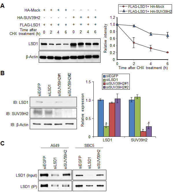 fig3