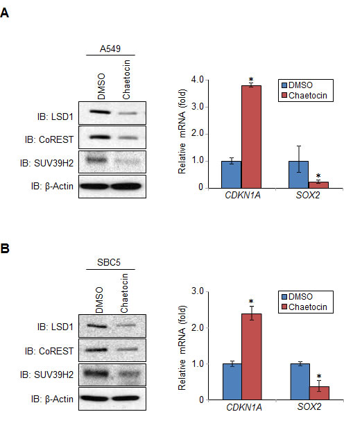 fig6