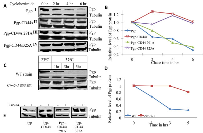 fig2
