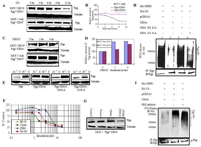 fig3
