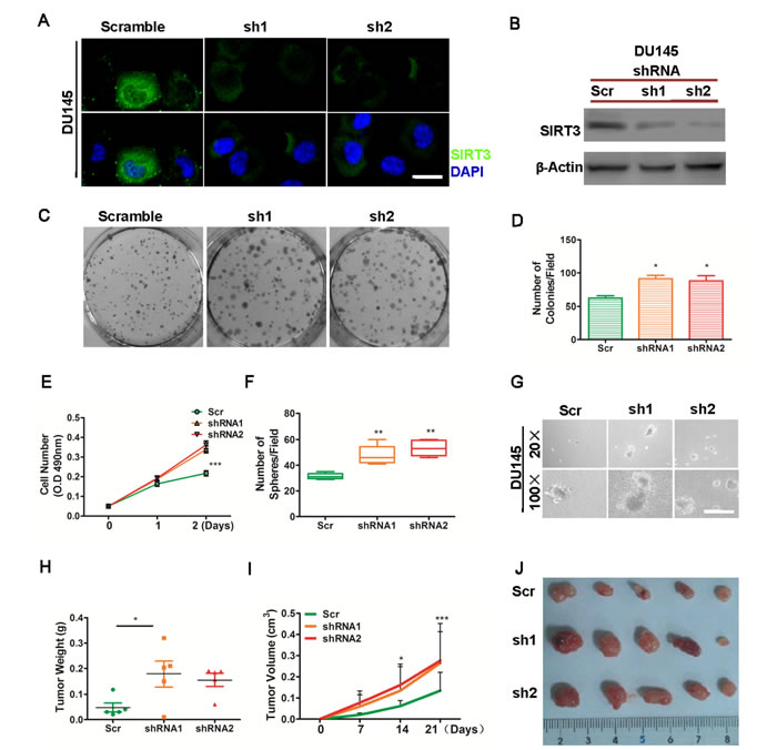 fig3