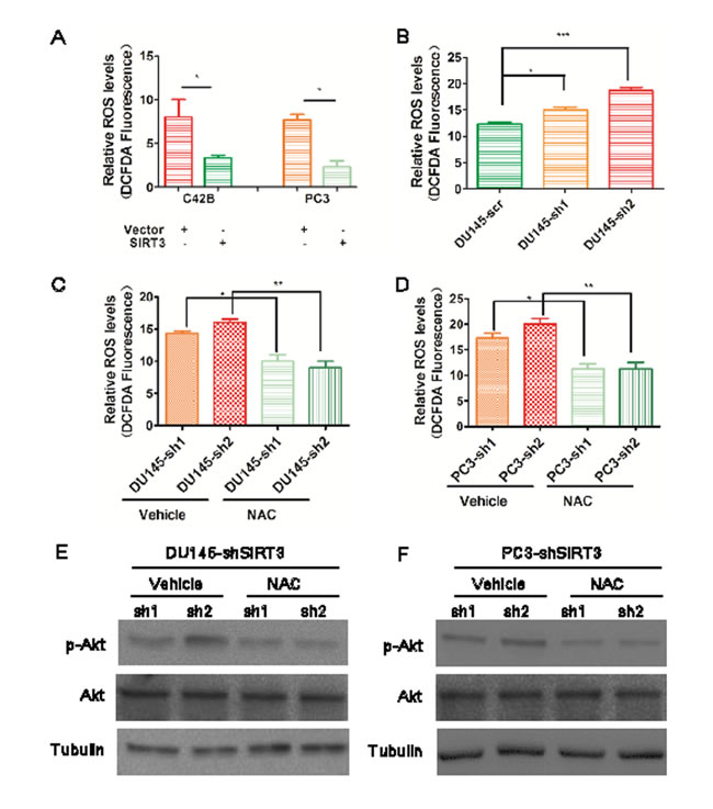 fig6