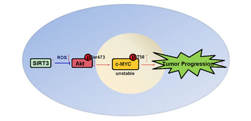 fig7