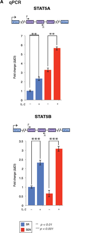 fig3
