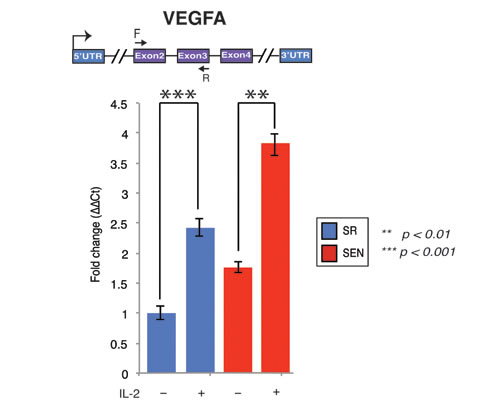 fig6