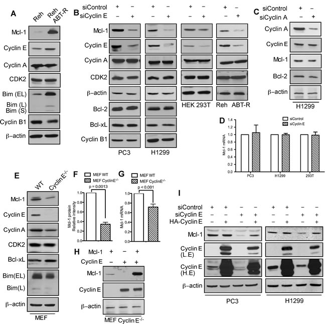 fig1