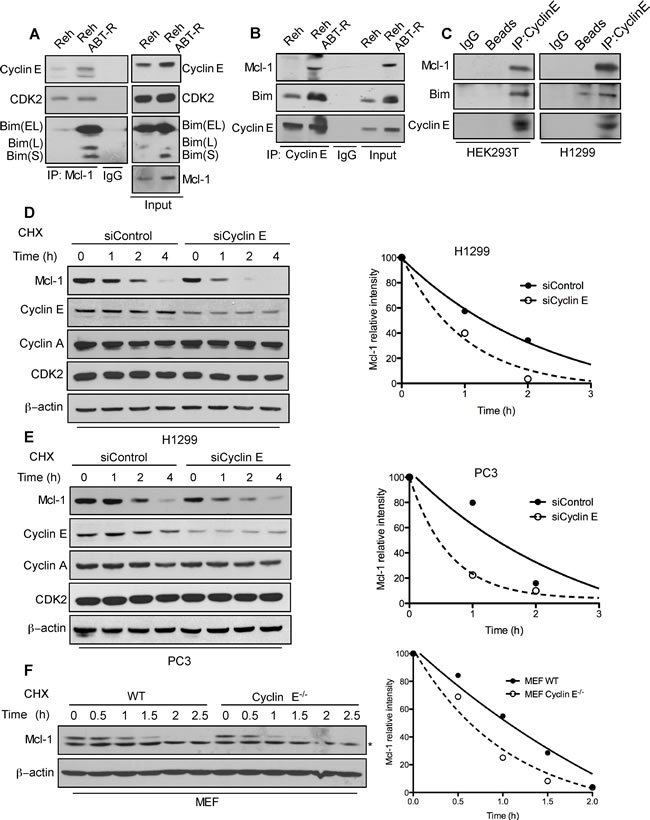 fig2