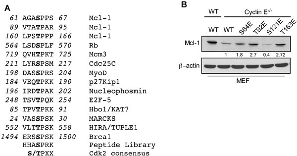 fig3