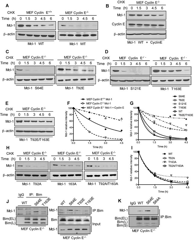 fig4