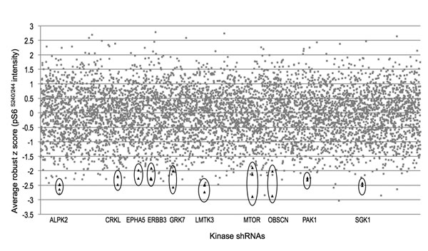 fig2