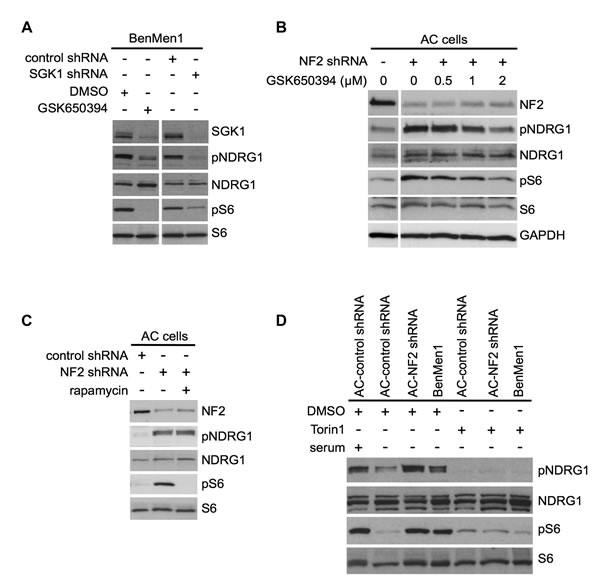 fig3