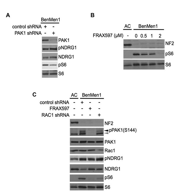 fig4
