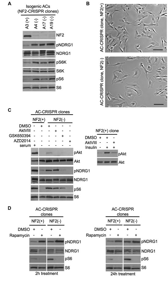 fig5