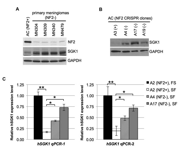 fig6