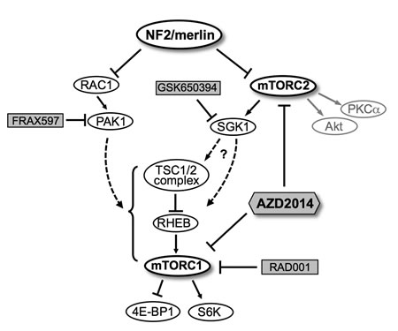 fig8