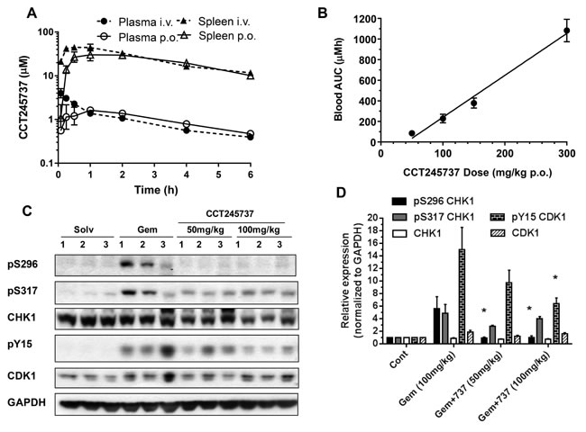 fig2