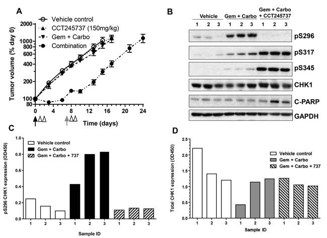 fig4