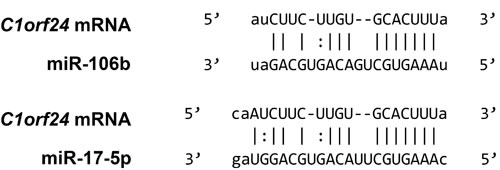 fig1