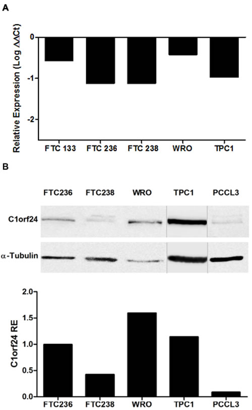 fig3