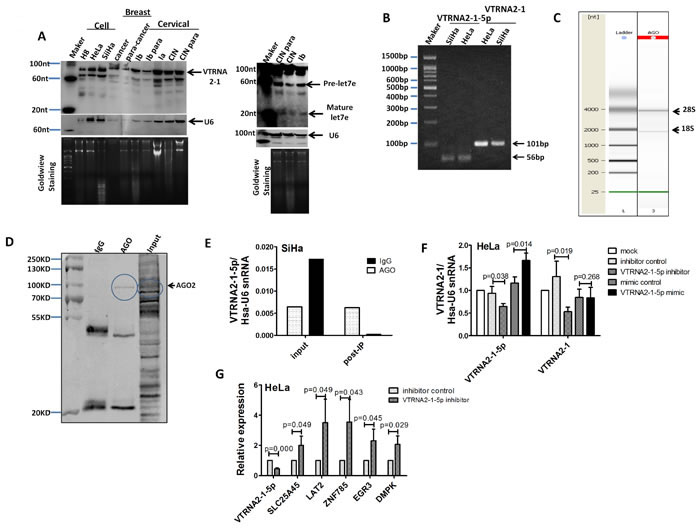 fig1