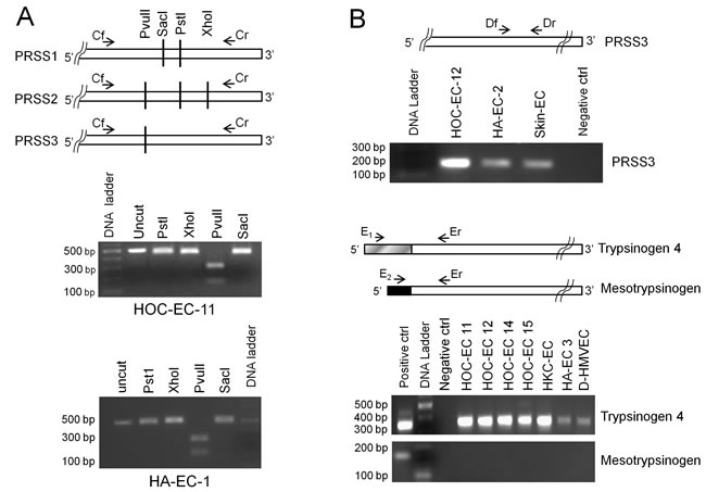 fig1