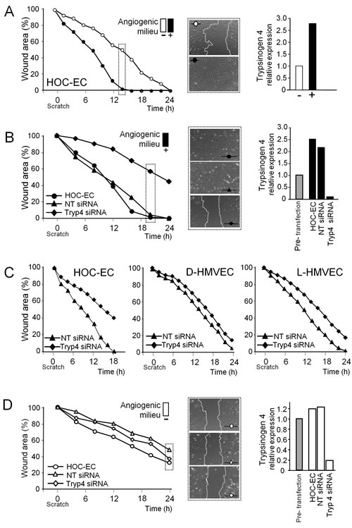 fig3