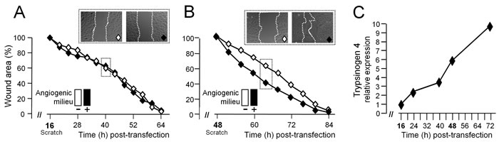 fig4