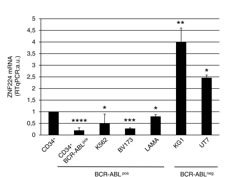 fig1