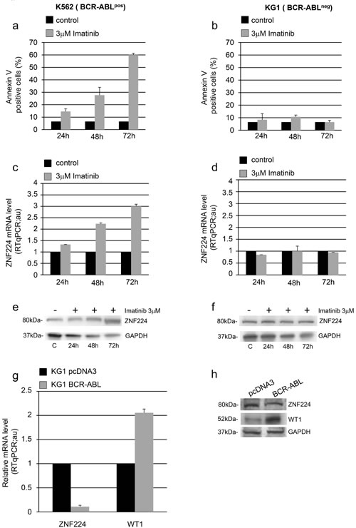 fig4